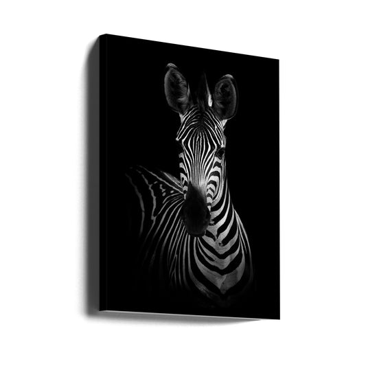 The Zebra-0