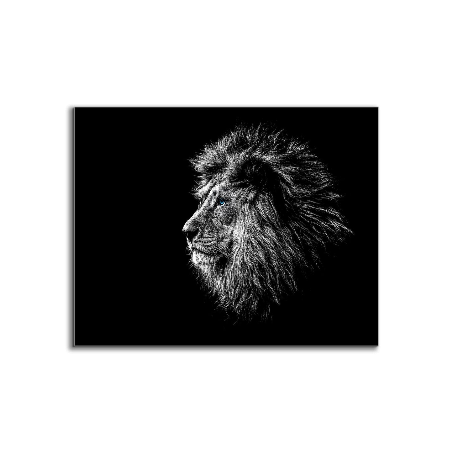 Wildlife Canvas Art-Lions Head Blue Eye in Black and White -Silver varnish-0
