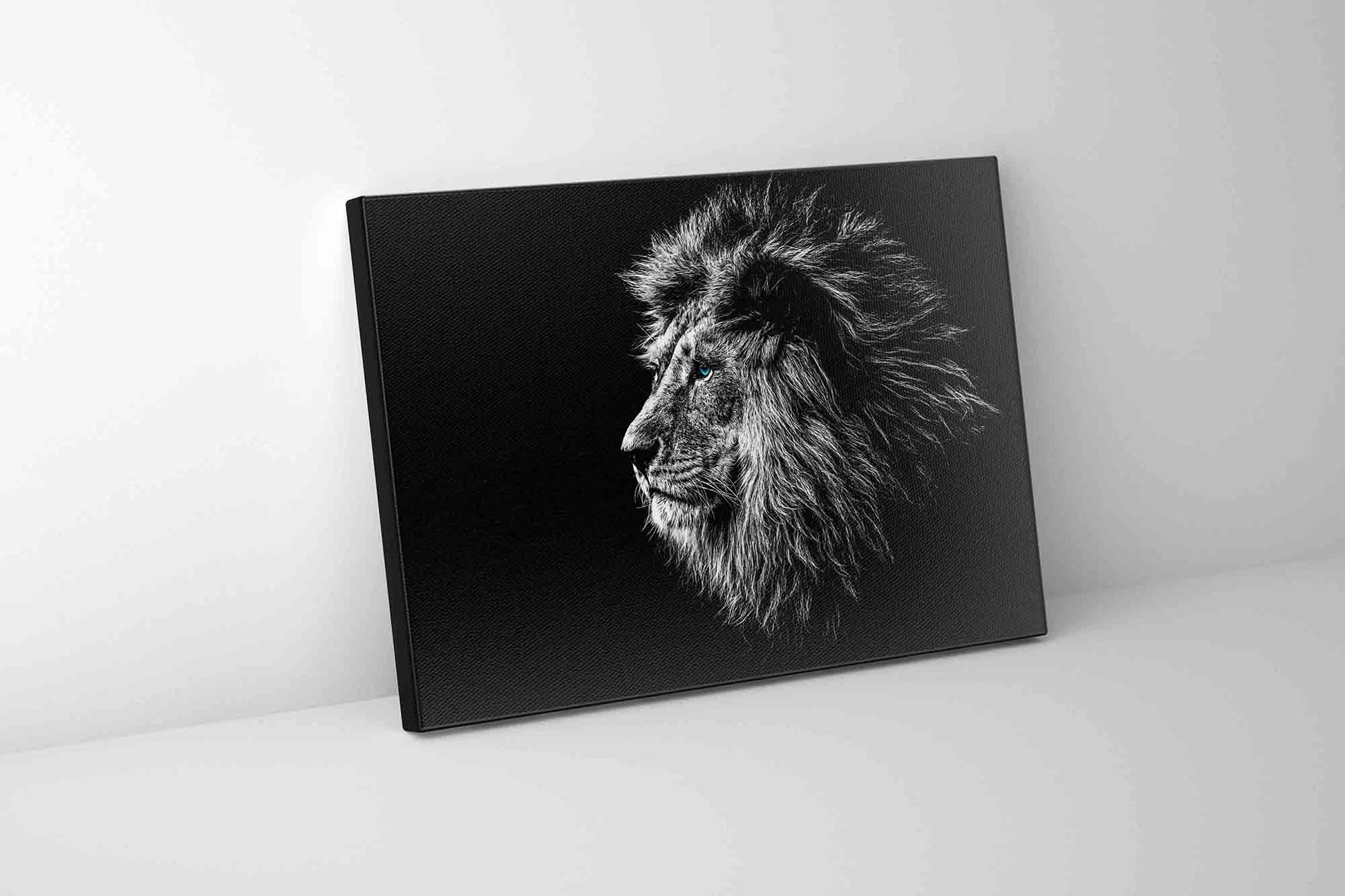 Wildlife Canvas Art-Lions Head Blue Eye in Black and White -Silver varnish-1