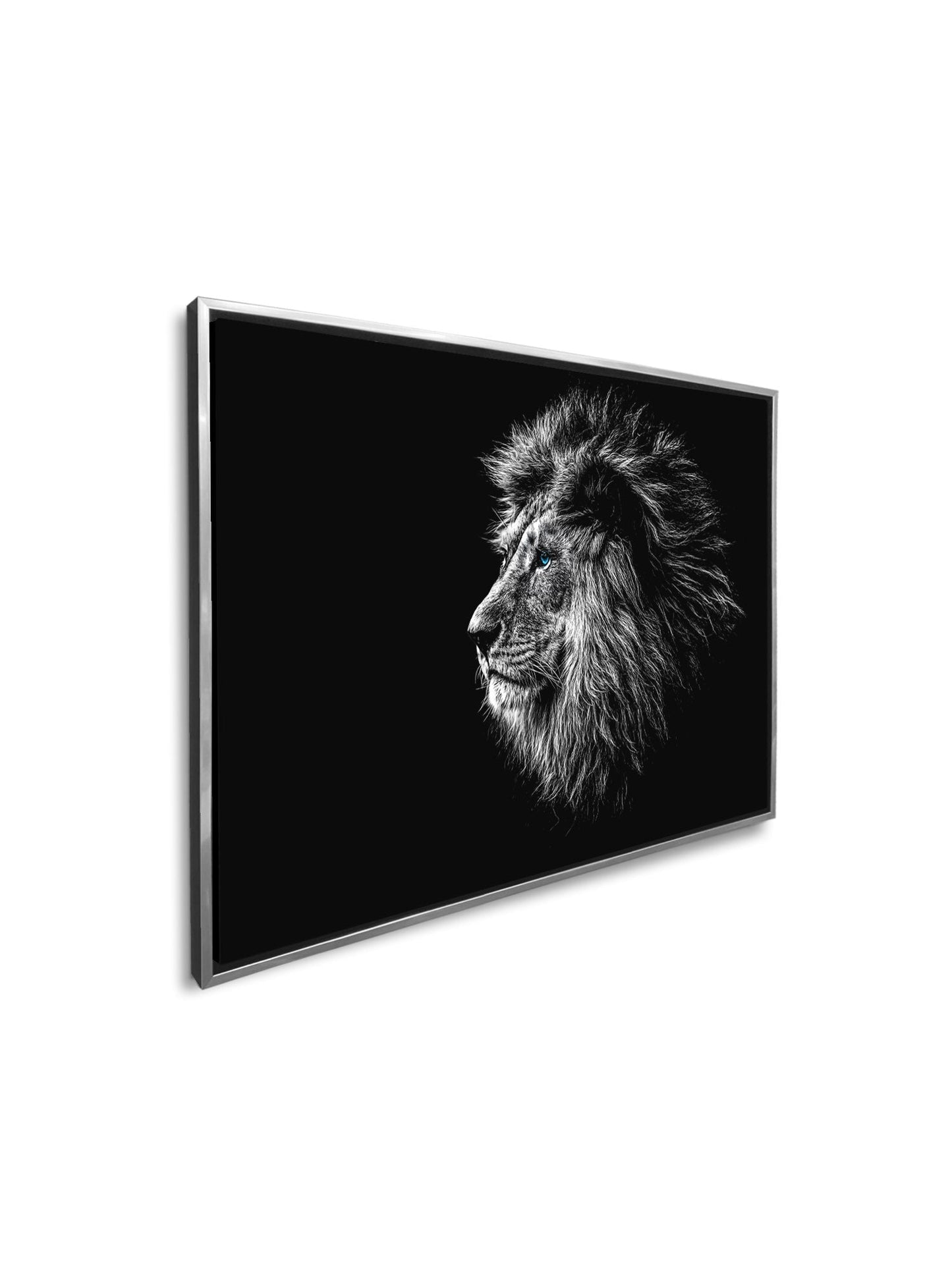 Wildlife Canvas Art-Lions Head Blue Eye in Black and White -Silver varnish-4