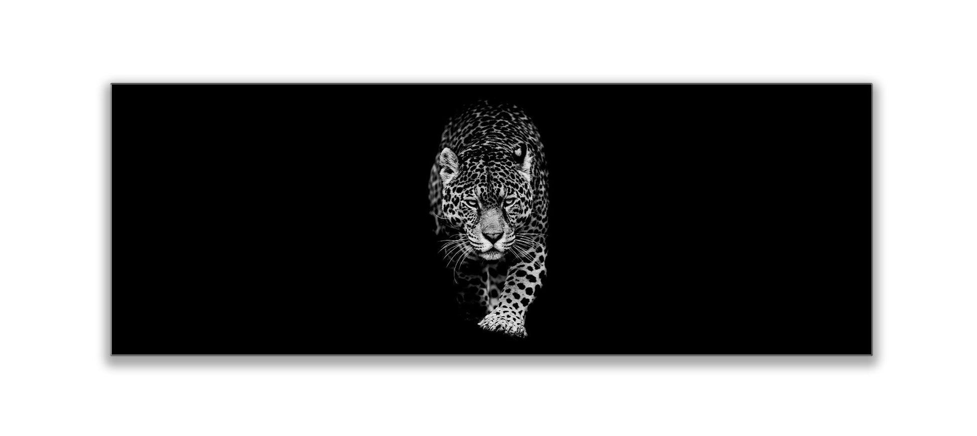 Leopard in Black & White 72" x 24"-3