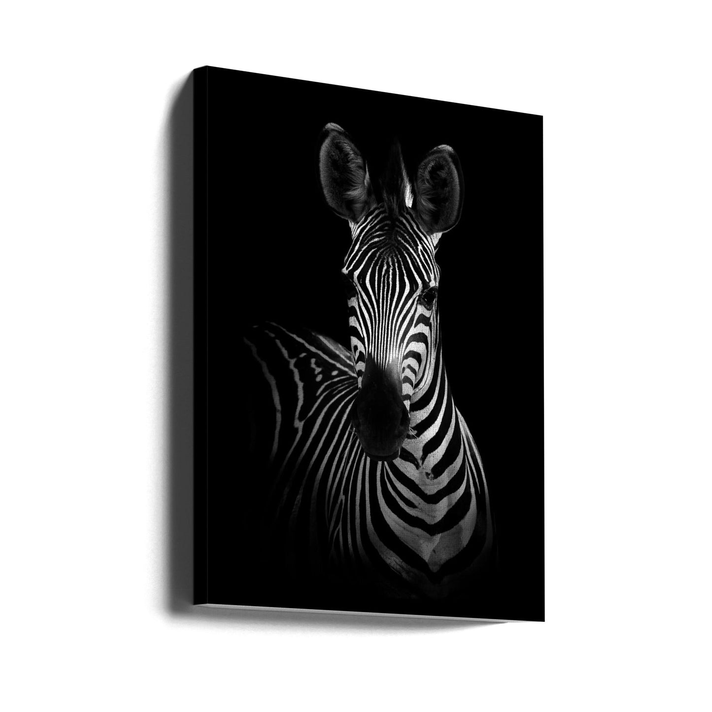 The Zebra-0