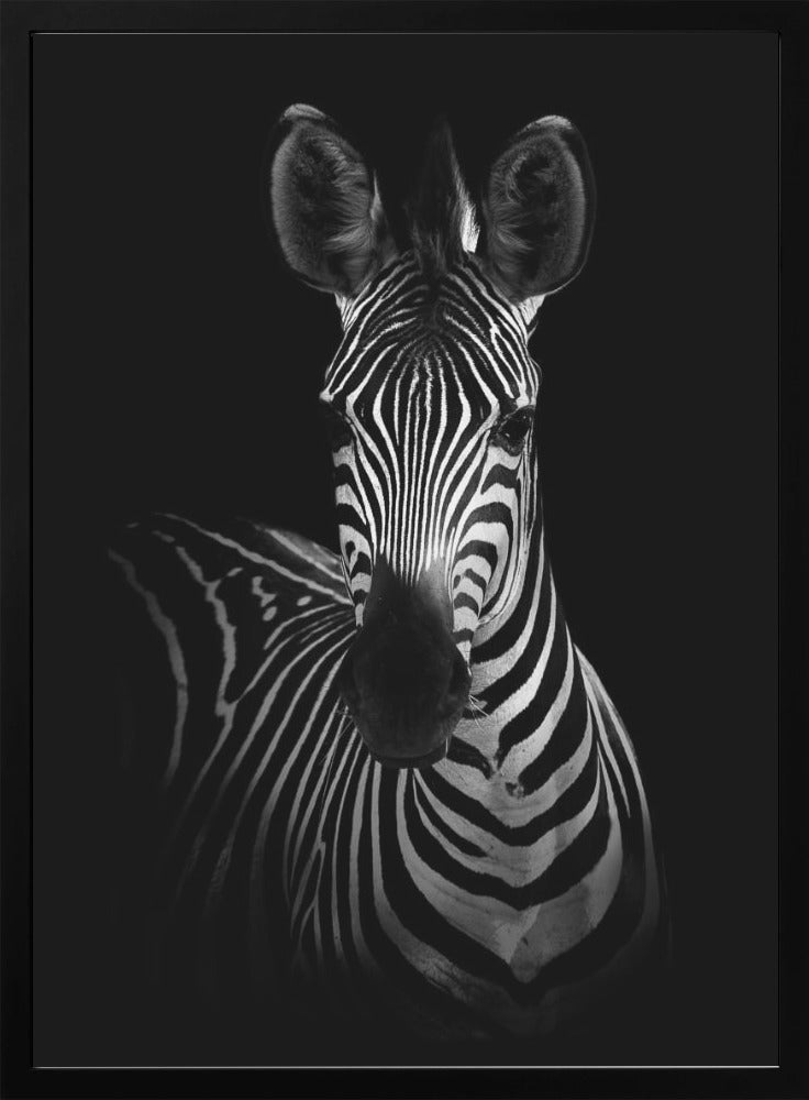 The Zebra-2